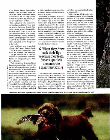 Country Life Magazine Feature 2a